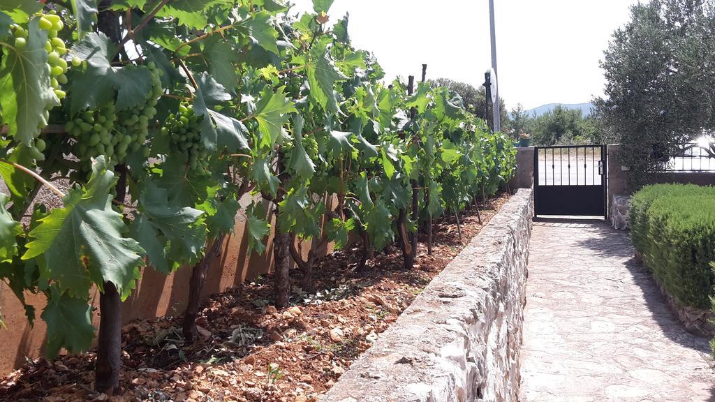 Amadrian Apartments Šibenik Dış mekan fotoğraf