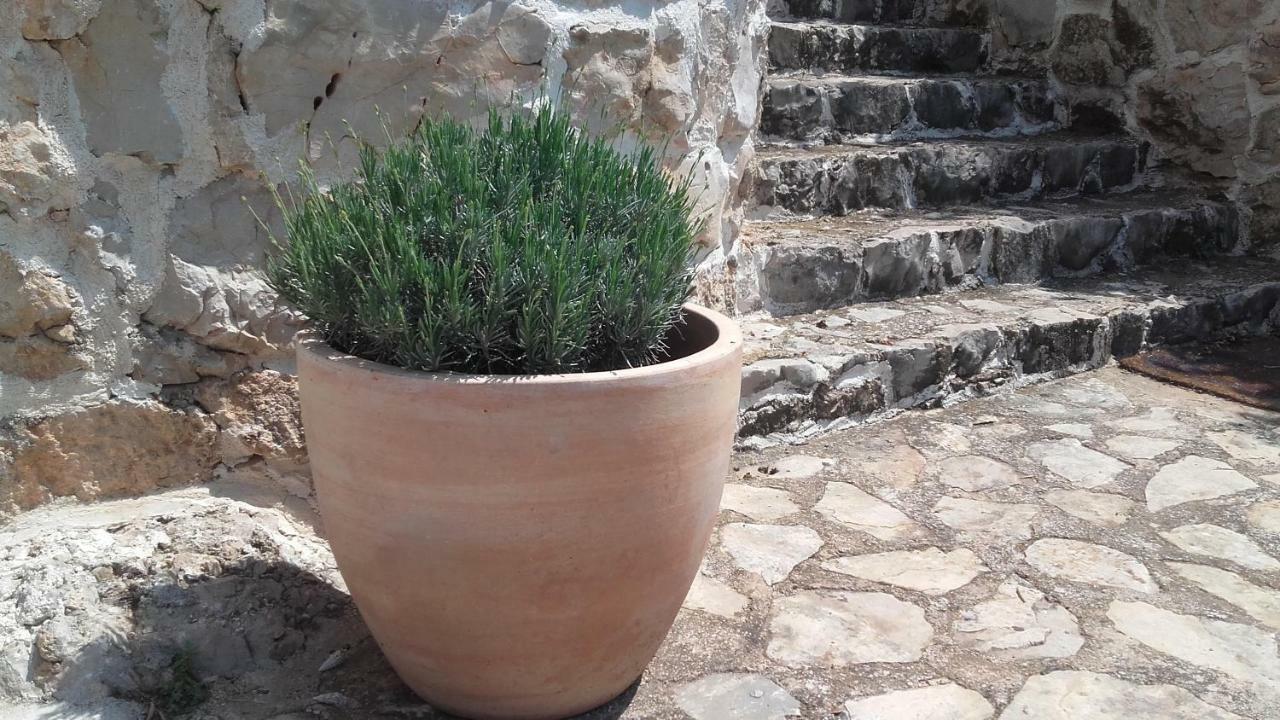 Amadrian Apartments Šibenik Dış mekan fotoğraf