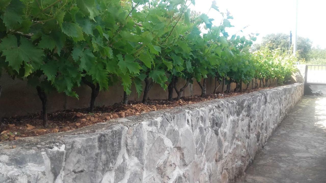 Amadrian Apartments Šibenik Dış mekan fotoğraf