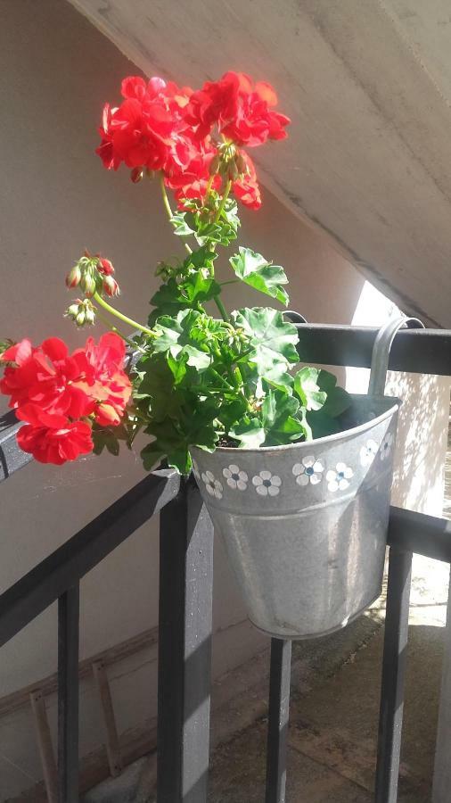 Amadrian Apartments Šibenik Dış mekan fotoğraf